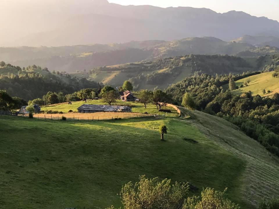 Pensiunea Casa Boiereasca Pestera  Luaran gambar