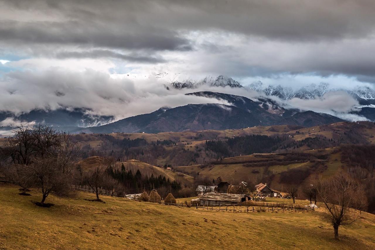 Pensiunea Casa Boiereasca Pestera  Luaran gambar